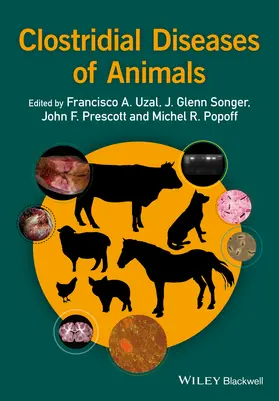 Uzal / Songer / Prescott |  Clostridial Diseases of Animals | Buch |  Sack Fachmedien