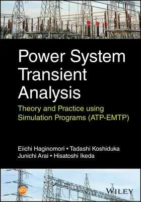 Haginomori / Koshiduka / Arai |  Power System Transient Analysis | Buch |  Sack Fachmedien
