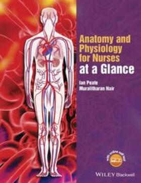 Peate / Nair | Anatomy and Physiology for Nurses at a Glance | E-Book | sack.de