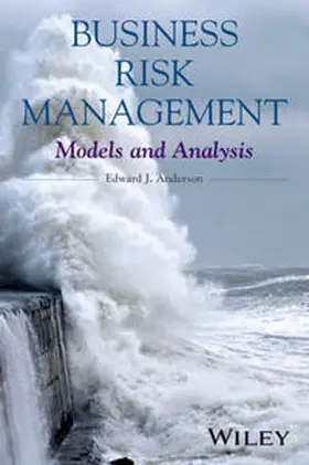 Anderson |  Business Risk Management | eBook | Sack Fachmedien