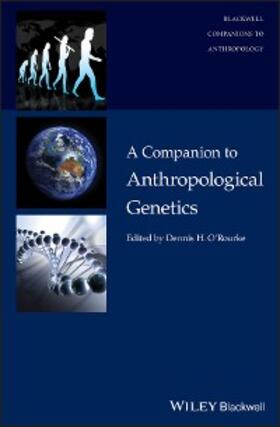 O'Rourke | A Companion to Anthropological Genetics | E-Book | www.sack.de