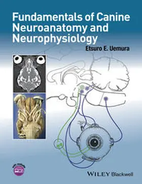 Uemura | Fundamentals of Canine Neuroanatomy and Neurophysiology | E-Book | www.sack.de