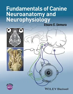 Uemura |  Fundamentals of Canine Neuroanatomy and Neurophysiology | Buch |  Sack Fachmedien