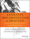 Sandfort / Moulton |  Effective Implementation in Practice | Buch |  Sack Fachmedien