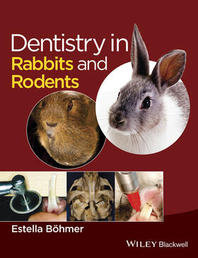 Böhmer / Boehmer | Dentistry in Rabbits and Rodents | Buch | 978-1-118-80254-0 | sack.de