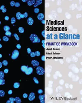Scaber / Rahman / Abrahams |  Medical Sciences at a Glance | eBook | Sack Fachmedien