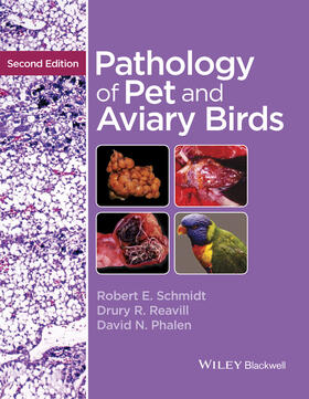 Schmidt / Reavill / Phalen | Pathology of Pet and Aviary Birds | Buch | 978-1-118-82809-0 | sack.de