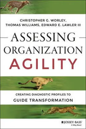 Worley / Williams / Lawler | Assessing Organization Agility | E-Book | sack.de