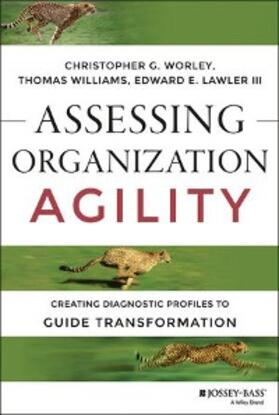 Worley / Williams / Lawler | Assessing Organization Agility | E-Book | sack.de