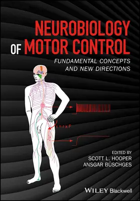 Hooper / Büschges | Neurobiology of Motor Control | Buch | 978-1-118-87340-3 | sack.de