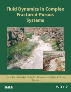 Faybishenko / Benson / Gale |  Fluid Dynamics in Complex Fractured-Porous Systems | eBook | Sack Fachmedien