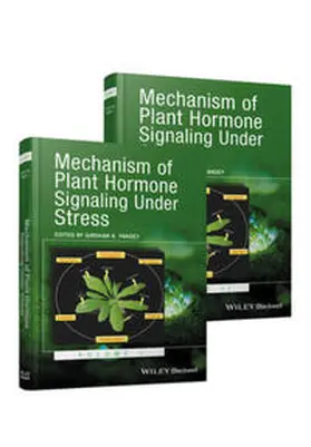 Pandey | Mechanism of Plant Hormone Signaling under Stress | E-Book | www.sack.de