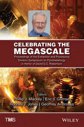 Mackey / Grimsey / Jones |  Celebrating the Megascale | eBook | Sack Fachmedien
