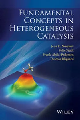 Nørskov / Studt / Abild-Pedersen | Fundamental Concepts in Heterogeneous Catalysis | E-Book | www.sack.de
