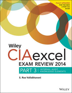 Vallabhaneni | Wiley CIAexcel Exam Review | Buch | 978-1-118-89359-3 | sack.de