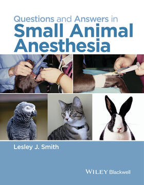 Smith | Questions and Answers in Small Animal Anesthesia | Buch | 978-1-118-91283-6 | sack.de