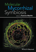 Martin |  Molecular Mycorrhizal Symbiosis | Buch |  Sack Fachmedien