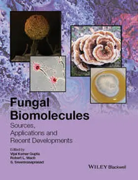 Gupta / Mach / Sreenivasaprasad | Fungal Biomolecules | E-Book | sack.de