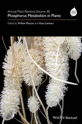 Plaxton / Lambers |  Annual Plant Reviews, Volume 48, Phosphorus Metabolism in Plants | eBook | Sack Fachmedien