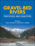 Tsutsumi / Laronne |  Gravel-Bed Rivers | Buch |  Sack Fachmedien