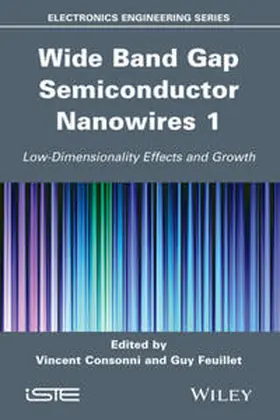 Consonni / Feuillet | Wide Band Gap Semiconductor Nanowires for Optical Devices | E-Book | www.sack.de