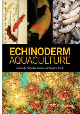 Brown / Eddy |  Echinoderm Aquaculture | eBook | Sack Fachmedien
