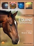 Gilger |  Equine Ophthalmology | eBook | Sack Fachmedien