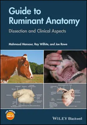 Mansour / Wilhite / Rowe |  Guide to Ruminant Anatomy | eBook | Sack Fachmedien