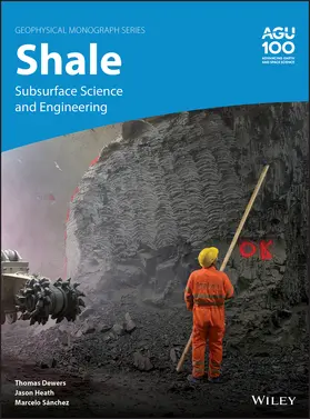 Dewers / Heath / Sánchez |  Shale | Buch |  Sack Fachmedien