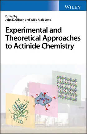 Gibson / de Jong |  Experimental and Theoretical Approaches to Actinide Chemistry | Buch |  Sack Fachmedien