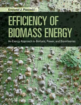 Ptasinski | Efficiency of Biomass Energy | E-Book | www.sack.de