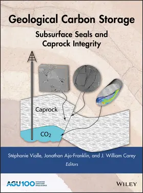 Vialle / Ajo-Franklin / Carey | Geological Carbon Storage | Buch | 978-1-119-11864-0 | www.sack.de