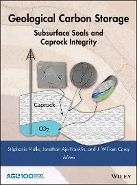 Vialle / Ajo-Franklin / Carey |  Geological Carbon Storage | eBook | Sack Fachmedien
