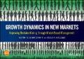 Schaffernicht / Groesser |  Growth Dynamics in New Markets | eBook | Sack Fachmedien