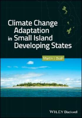 Bush |  Climate Change Adaptation in Small Island Developing States | eBook | Sack Fachmedien
