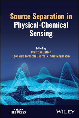 Jutten / Duarte / Moussaoui |  Source Separation in Physical-Chemical Sensing | Buch |  Sack Fachmedien