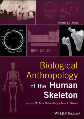 Grauer / Katzenberg | Biological Anthropology of the Human Skeleton | Buch | 978-1-119-15161-6 | sack.de