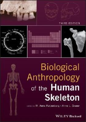 Katzenberg / Grauer | Biological Anthropology of the Human Skeleton | E-Book | www.sack.de