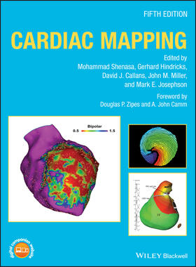 Shenasa / Hindricks / Callans | Cardiac Mapping | Buch | 978-1-119-15259-0 | sack.de