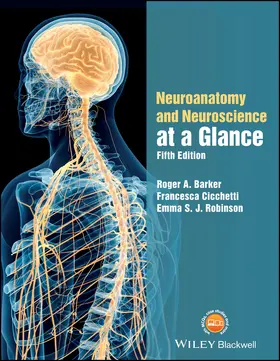 Robinson / Barker / Cicchetti |  Neuroanatomy and Neuroscience at a Glance | Buch |  Sack Fachmedien