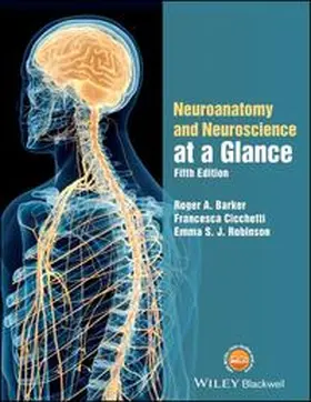 Barker / Cicchetti / Robinson |  Neuroanatomy and Neuroscience at a Glance | eBook | Sack Fachmedien