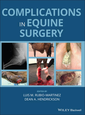 Rubio-Martinez / Hendrickson | Complications in Equine Surgery | Buch | 978-1-119-19007-3 | sack.de
