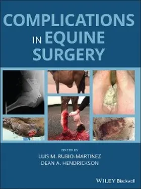 Rubio-Martinez / Hendrickson |  Complications in Equine Surgery | eBook | Sack Fachmedien
