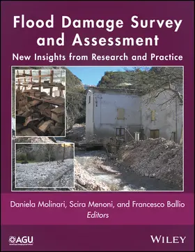 Molinari / Menoni / Ballio |  Flood Damage Survey and Assessment | Buch |  Sack Fachmedien