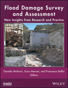Molinari / Menoni / Ballio | Flood Damage Survey and Assessment | Buch | 978-1-119-21792-3 | sack.de
