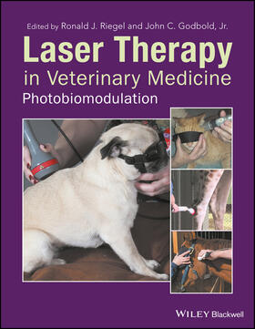 Godbold / Riegel | Laser Therapy in Veterinary Medicine | Buch | sack.de