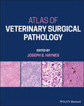 Haynes |  Atlas of Veterinary Surgical Pathology | Buch |  Sack Fachmedien