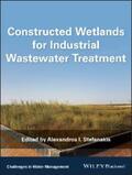 Stefanakis |  Constructed Wetlands for Industrial Wastewater Treatment | eBook | Sack Fachmedien