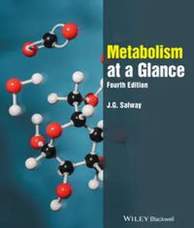 Salway |  Metabolism at a Glance | eBook | Sack Fachmedien