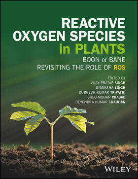 Singh / Tripathi / Prasad |  Reactive Oxygen Species in Plants | Buch |  Sack Fachmedien